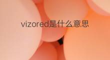vizored是什么意思 vizored的中文翻译、读音、例句