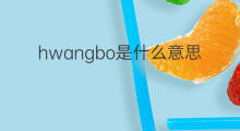 hwangbo是什么意思 hwangbo的中文翻译、读音、例句