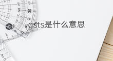 gsts是什么意思 gsts的中文翻译、读音、例句