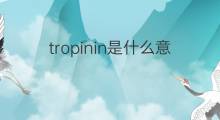 tropinin是什么意思 tropinin的翻译、读音、例句、中文解释