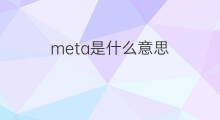meta是什么意思 meta的中文翻译、读音、例句