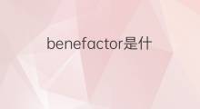 benefactor是什么意思 benefactor的中文翻译、读音、例句