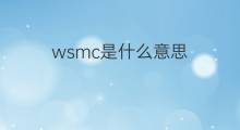 wsmc是什么意思 wsmc的中文翻译、读音、例句