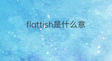 flattish是什么意思 flattish的中文翻译、读音、例句