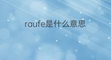raufe是什么意思 raufe的中文翻译、读音、例句