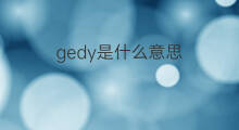 gedy是什么意思 gedy的中文翻译、读音、例句