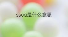 ssoa是什么意思 ssoa的中文翻译、读音、例句
