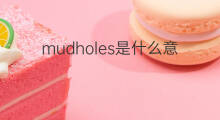 mudholes是什么意思 mudholes的中文翻译、读音、例句