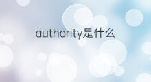 authority是什么意思 authority的中文翻译、读音、例句