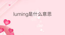 luming是什么意思 luming的中文翻译、读音、例句