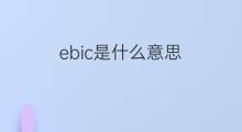 ebic是什么意思 ebic的翻译、读音、例句、中文解释