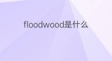 floodwood是什么意思 floodwood的中文翻译、读音、例句