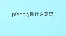 pfennig是什么意思 pfennig的翻译、读音、例句、中文解释