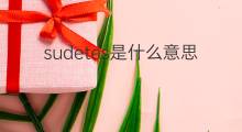 sudetes是什么意思 sudetes的中文翻译、读音、例句