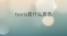 tsoris是什么意思 tsoris的中文翻译、读音、例句