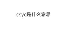 csyc是什么意思 csyc的中文翻译、读音、例句