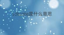 valuate是什么意思 valuate的中文翻译、读音、例句