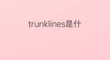 trunklines是什么意思 trunklines的中文翻译、读音、例句