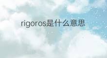 rigoros是什么意思 rigoros的翻译、读音、例句、中文解释