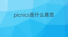 picnics是什么意思 picnics的中文翻译、读音、例句