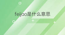 feijao是什么意思 feijao的中文翻译、读音、例句
