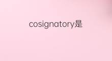 cosignatory是什么意思 cosignatory的翻译、读音、例句、中文解释