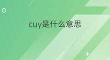 cuy是什么意思 cuy的中文翻译、读音、例句