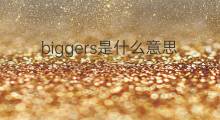 biggers是什么意思 英文名biggers的翻译、发音、来源