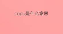 capu是什么意思 capu的中文翻译、读音、例句