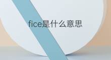 fice是什么意思 英文名fice的翻译、发音、来源
