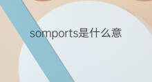 somports是什么意思 somports的中文翻译、读音、例句