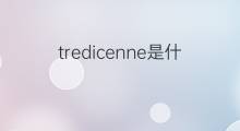 tredicenne是什么意思 tredicenne的中文翻译、读音、例句