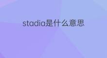 stadia是什么意思 stadia的中文翻译、读音、例句