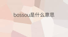bossou是什么意思 bossou的中文翻译、读音、例句
