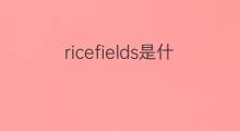 ricefields是什么意思 ricefields的中文翻译、读音、例句