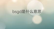 bsgd是什么意思 bsgd的中文翻译、读音、例句