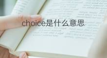 choice是什么意思 choice的中文翻译、读音、例句