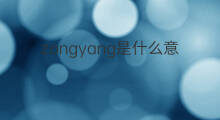 zongyang是什么意思 zongyang的中文翻译、读音、例句