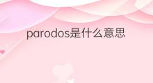 parodos是什么意思 parodos的中文翻译、读音、例句