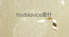 hodslavice是什么意思 hodslavice的中文翻译、读音、例句