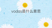 vodas是什么意思 vodas的中文翻译、读音、例句