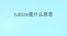 tubize是什么意思 tubize的中文翻译、读音、例句
