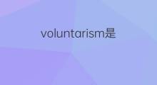 voluntarism是什么意思 voluntarism的中文翻译、读音、例句