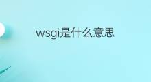 wsgi是什么意思 wsgi的中文翻译、读音、例句