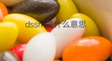 dssm是什么意思 dssm的中文翻译、读音、例句