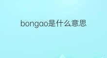 bongao是什么意思 bongao的中文翻译、读音、例句