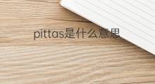 pittas是什么意思 pittas的中文翻译、读音、例句