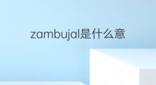 zambujal是什么意思 zambujal的翻译、读音、例句、中文解释