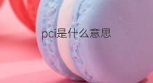 pci是什么意思 pci的中文翻译、读音、例句