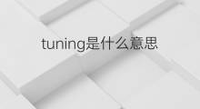 tuning是什么意思 tuning的中文翻译、读音、例句